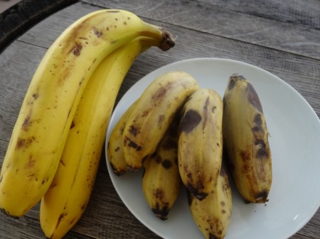 banane, banane pomme, guadeloupe