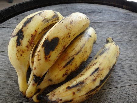 bananes plantains 