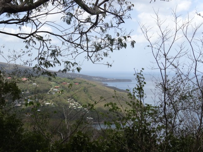 Plage,Grande Anse, Deshaies, Guadeloupe, Basse Terre